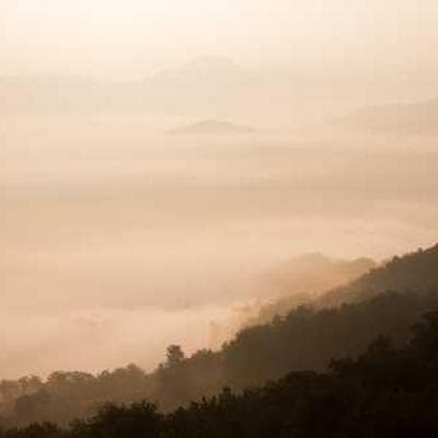 AI & Search Ecosystems